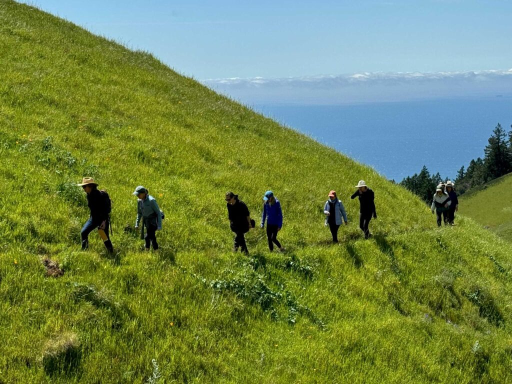 Terrace Team on a hike