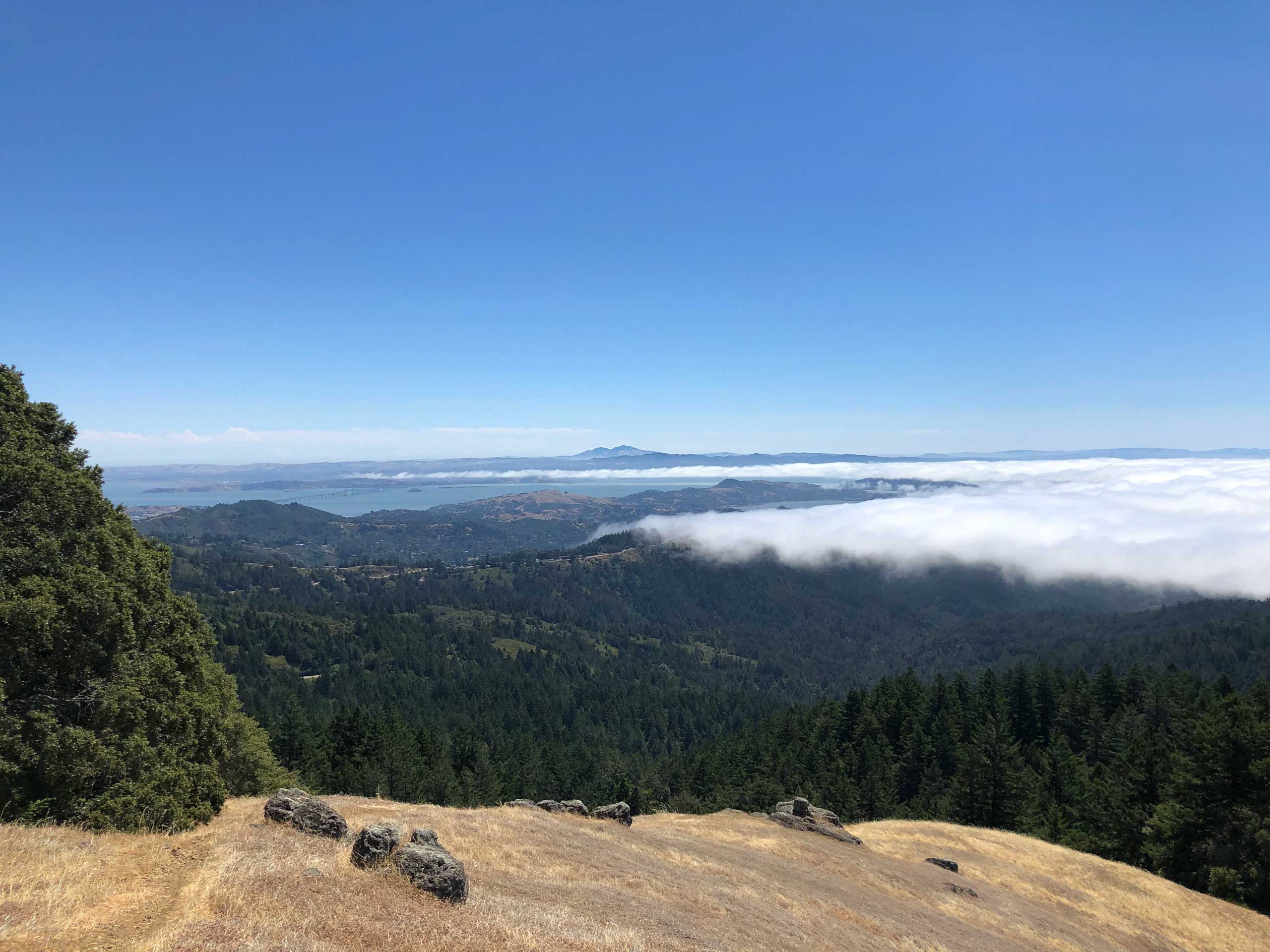 view overlooking the fogline of the northern California bay area